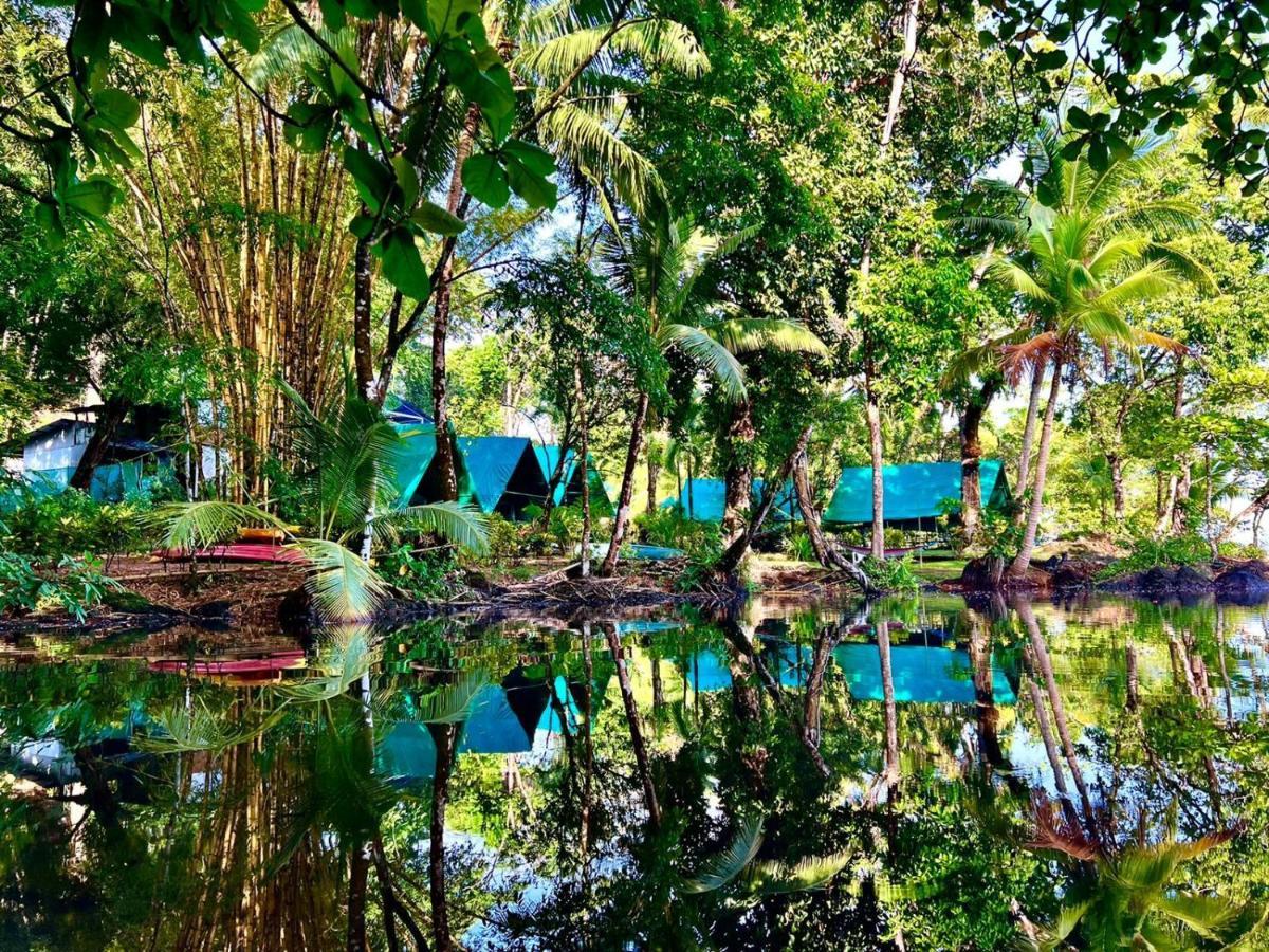 Corcovado Adventures Drake Bay Exterior foto