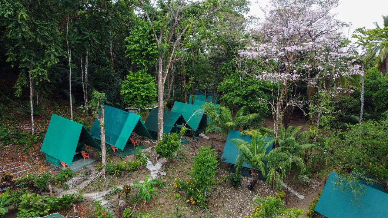 Corcovado Adventures Drake Bay Exterior foto