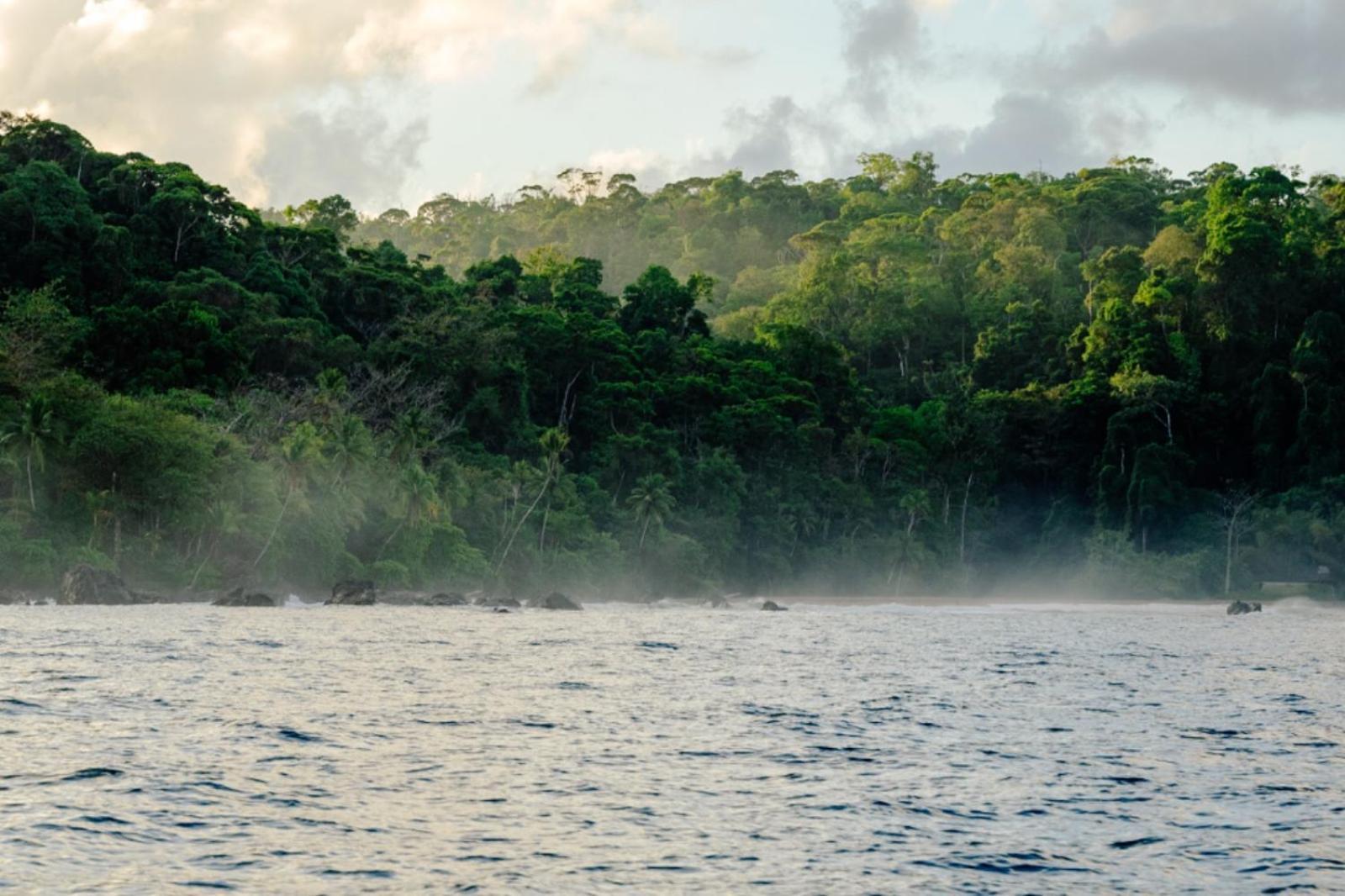 Corcovado Adventures Drake Bay Exterior foto