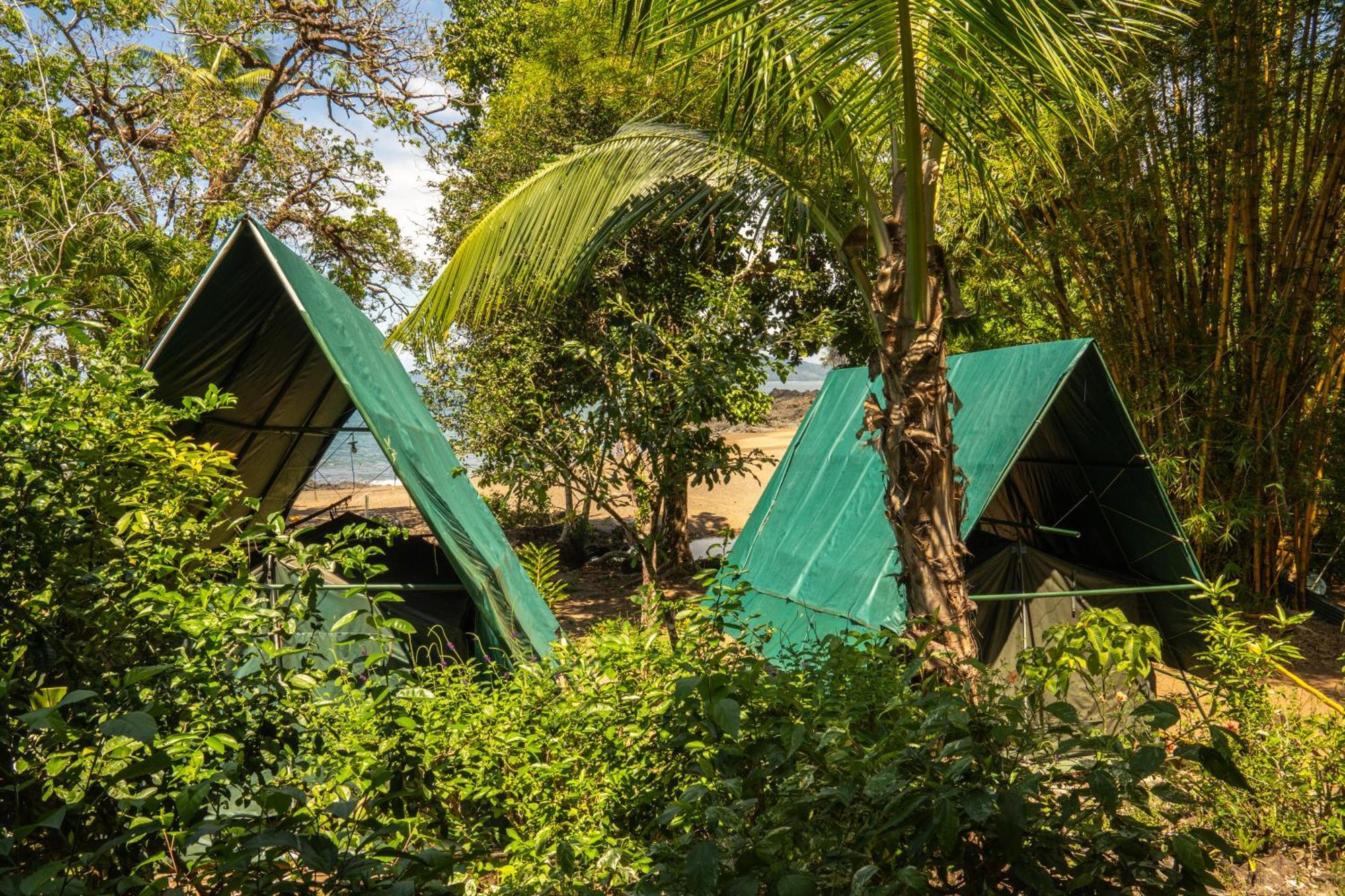 Corcovado Adventures Drake Bay Exterior foto