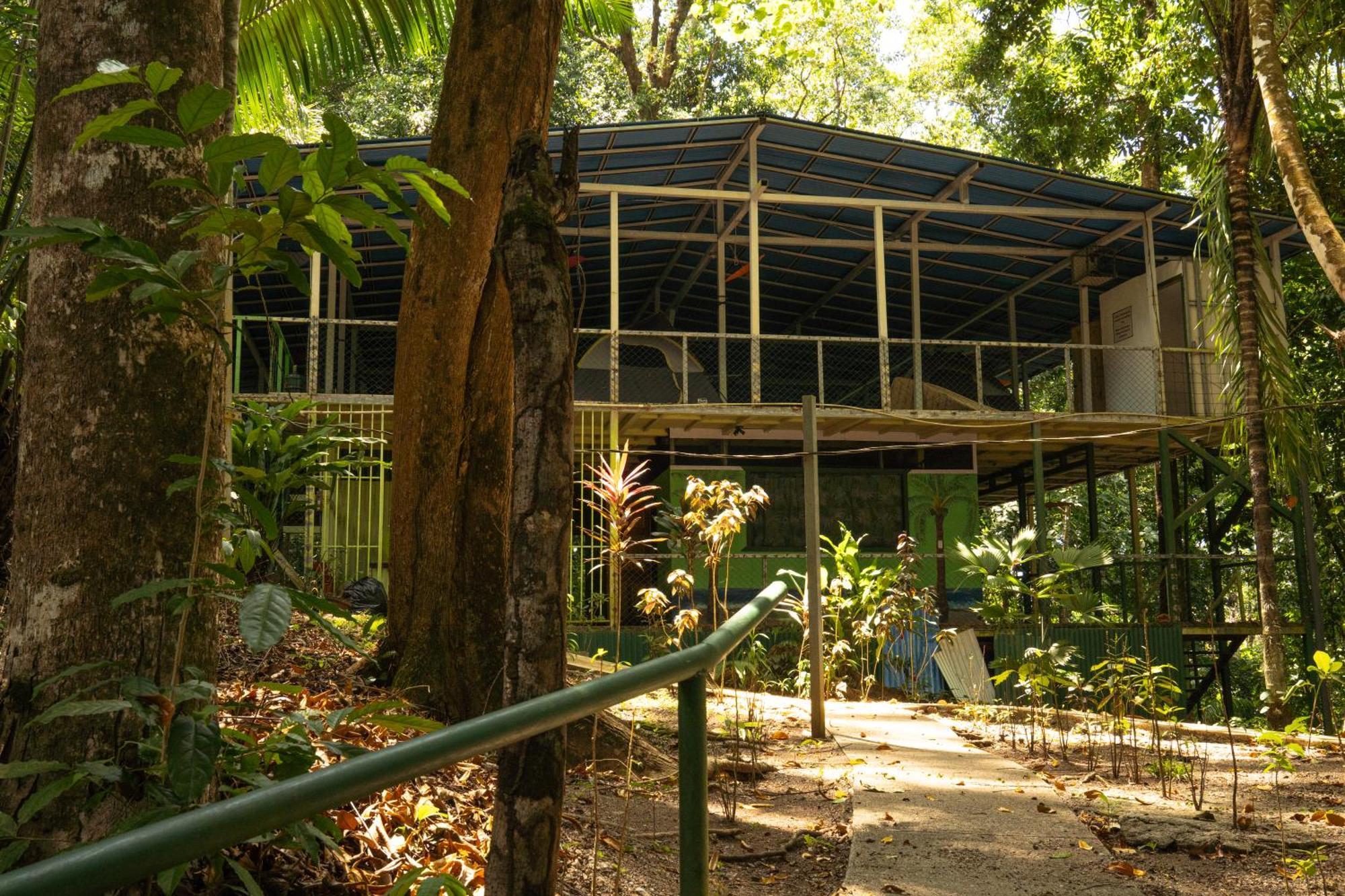 Corcovado Adventures Drake Bay Exterior foto