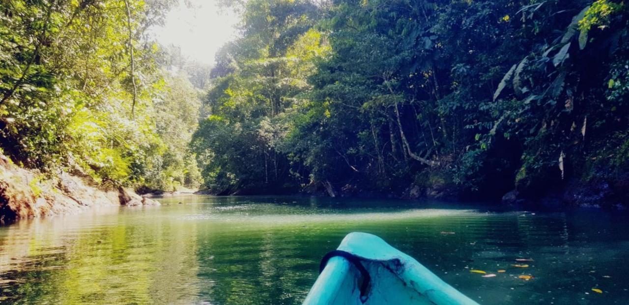 Corcovado Adventures Drake Bay Exterior foto